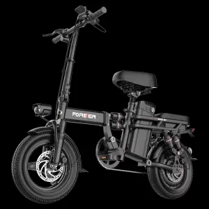 영구 접이식 전기 자전거
