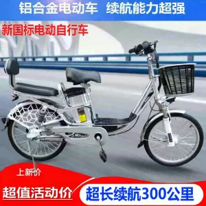 20인치 신국표알루미늄합금전기차 48V 듀얼충격흡수전기자전거 남녀경량보조배터리카