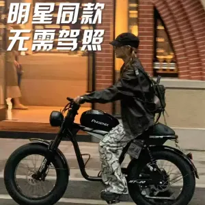 피닉스 슈퍼73 전기자전거 신국표 리튬 레트로 오프로드 눈길 보조차 소형 전기차