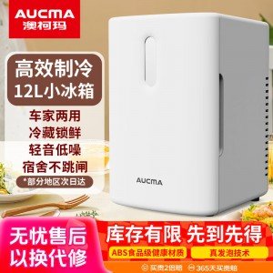 차량용 냉장고 12L 기숙사 렌탈 미니 냉장고 한약 모유 메이크업 저장 쿨러 아웃도어